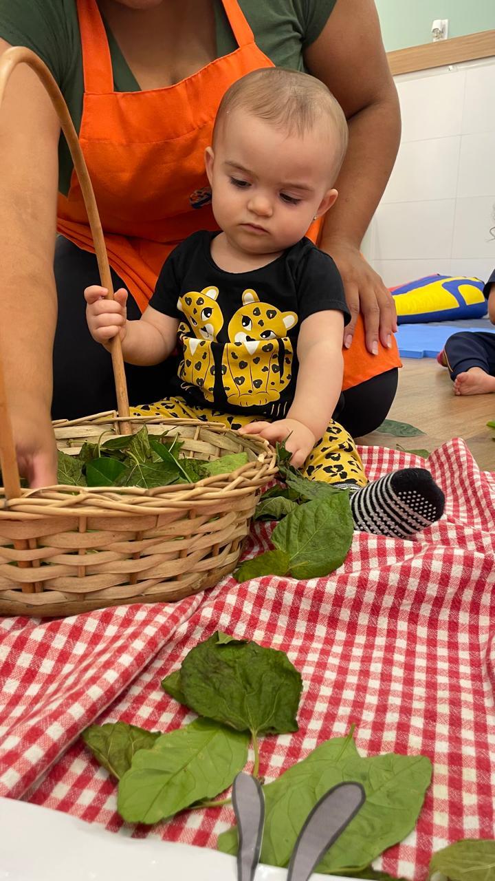 A lagarta Comilona — foto 2